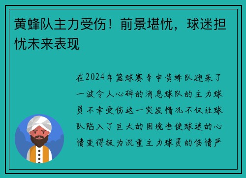 黄蜂队主力受伤！前景堪忧，球迷担忧未来表现