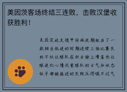 美因茨客场终结三连败，击败汉堡收获胜利！